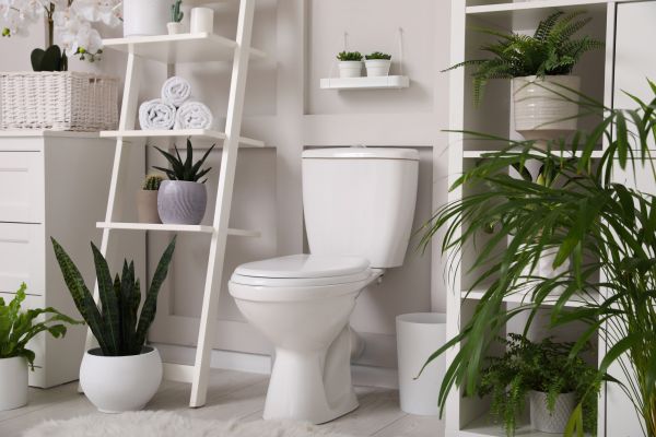 Cost of Toilet Repair in Lilburn