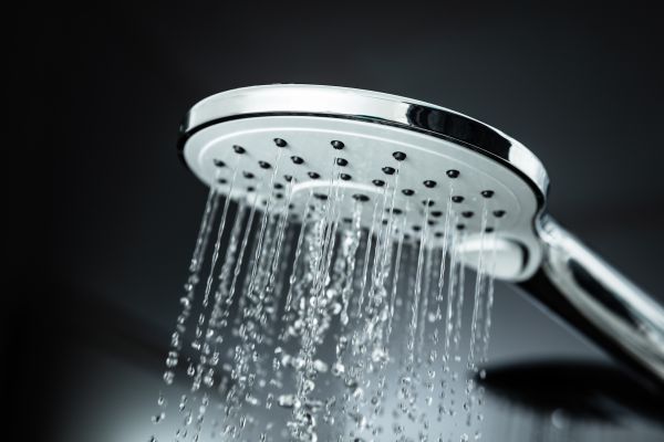 Cost of Shower Head Replacement in Lilburn