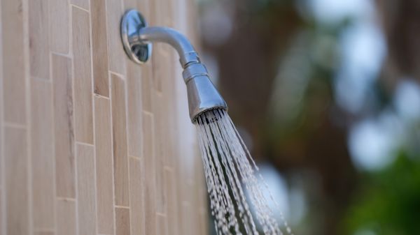 Cost of Showerhead Repair in Lilburn