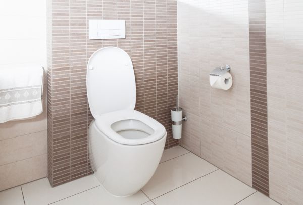 Cost of Toilet Plumbing Installation in Lilburn